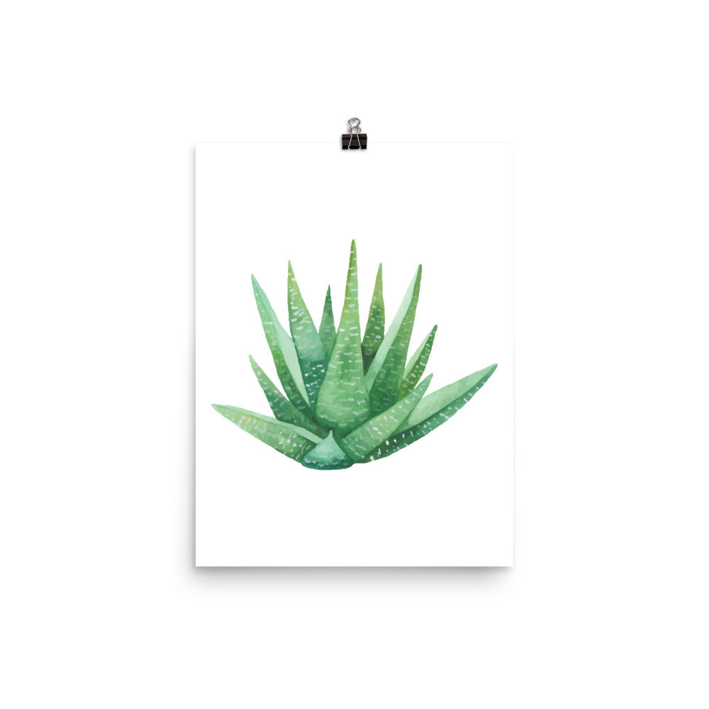 Watercolor Cactus Poster